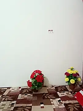 Saroj-Shah online show from October 11, 2025, 3:50 am