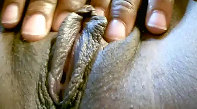 MTLD7 online show from December 25, 2024, 7:24 am