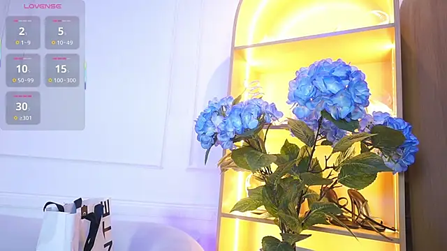 elasummer online show from November 28, 2025, 11:57 am