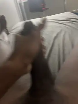 Snapshot of arrete2025 chatting on February 3, 2025, 1:08 pm arrete2025 online show from February 3, 2025, 1:08 pm