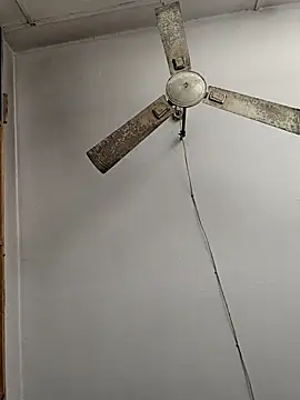 hardyloves online show from December 28, 2024, 9:31 am