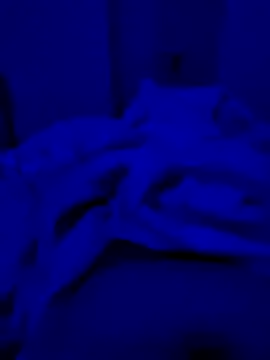 hardyloves online show from March 16, 2025, 6:23 pm