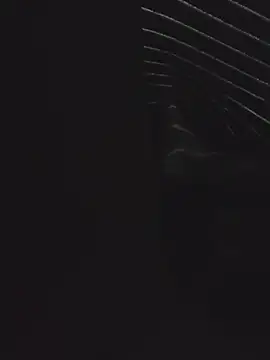 mirrowhot online show from November 10, 2025, 11:37 pm