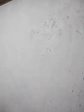 black cobra70 online show from October 26, 2025, 12:44 pm