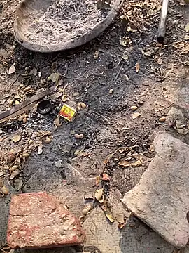 satrr xxx online show from November 27, 2025, 4:58 am