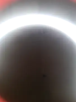 lolimirass24 online show from December 22, 2024, 2:49 am