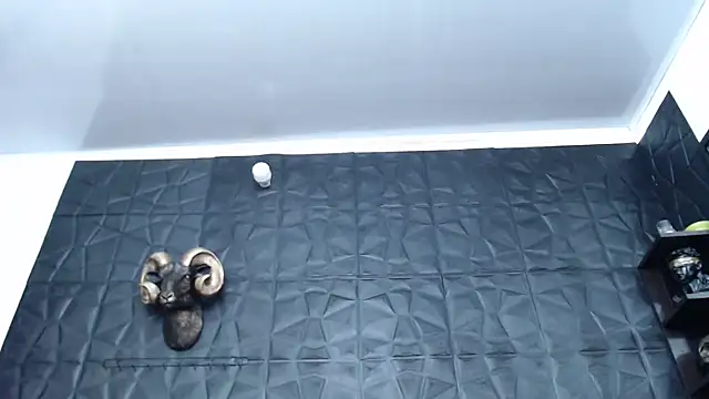 Snapshot of Hanna_Fox_69 chatting on February 5, 2025, 4:59 am Hanna Fox 69 online show from February 5, 2025, 4:59 am