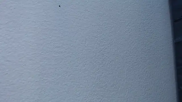 Snapshot of Hanna_Fox_69 chatting on February 15, 2025, 6:02 am Hanna Fox 69 online show from February 15, 2025, 6:02 am