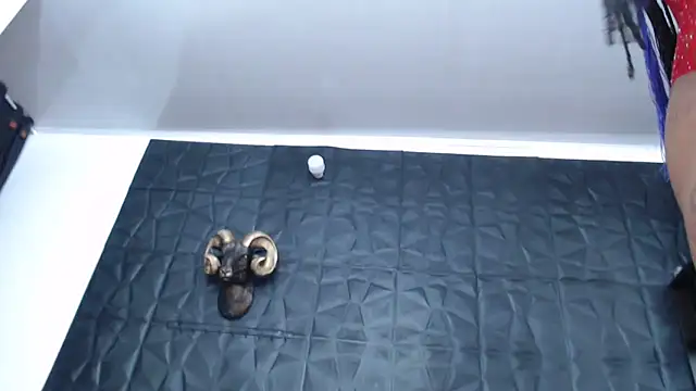 Snapshot of Hanna_Fox_69 chatting on March 15, 2025, 9:30 am Hanna Fox 69 online show from March 15, 2025, 9:30 am