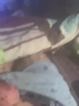 Snapshot of solomec chatting on November 19, 2025, 6:35 am solomec online show from November 19, 2025, 6:35 am