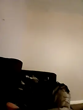 Snapshot of willywonka7793 chatting on December 16, 2024, 5:33 pm willywonka7793 online show from December 16, 2024, 5:33 pm