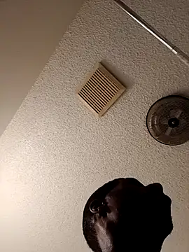 Snapshot of willywonka7793 chatting on March 3, 2025, 4:56 pm willywonka7793 online show from March 3, 2025, 4:56 pm