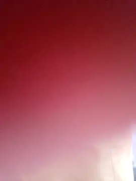 sana14 online show from March 14, 2025, 9:46 am