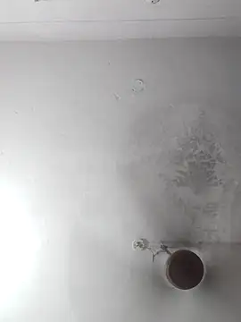 sana14 online show from September 21, 2025, 9:11 am