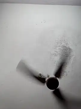 sana14 online show from March 9, 2026, 6:23 pm