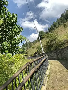 ElNegroRony online show from December 9, 2024, 2:49 pm