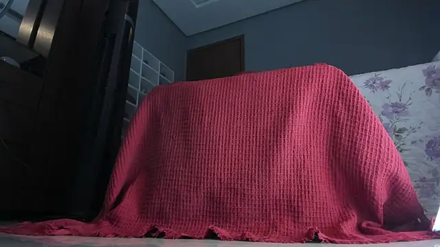 Snapshot of sherilkwang19tv chatting on January 12, 2026, 12:49 am sherilkwang19tv online show from January 12, 2026, 12:49 am