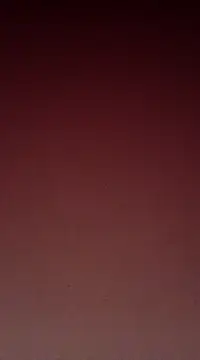 Snapshot of Sexy-Mona2 chatting on December 13, 2024, 12:06 pm Sexy-Mona2 online show from December 13, 2024, 12:06 pm