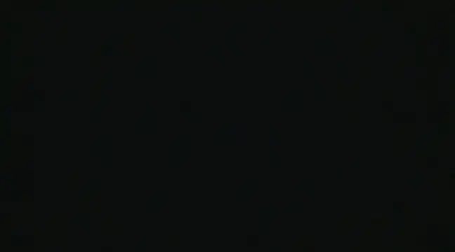 alansteer online show from December 22, 2024, 10:49 am