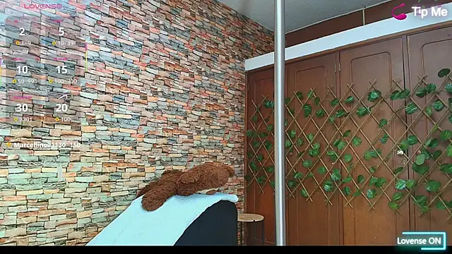 Snapshot of couple_lovelyds chatting on December 2, 2025, 9:21 pm couple lovelyds online show from December 2, 2025, 9:21 pm