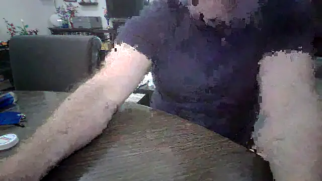 Snapshot of LARawAlways2 chatting on February 26, 2026, 7:02 pm LARawAlways2 online show from February 26, 2026, 7:02 pm