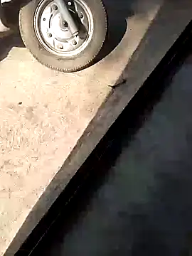 PracticalGum40 online show from December 10, 2024, 7:58 am