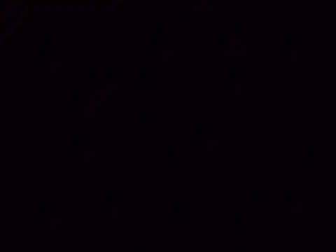 Nailahex online show from November 5, 2025, 10:59 am