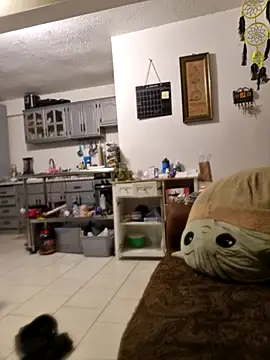 Snapshot of abdierkader chatting on November 12, 2025, 9:03 pm abdierkader online show from November 12, 2025, 9:03 pm