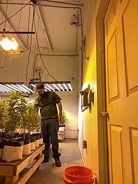 Snapshot of jr91esl chatting on March 2, 2025, 5:14 pm jr91esl online show from March 2, 2025, 5:14 pm