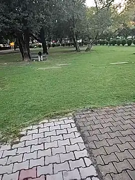 lofarinsan online show from October 6, 2025, 12:13 pm