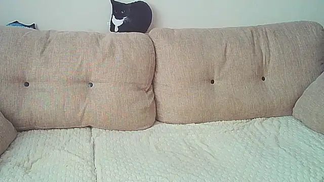 Snapshot of Ostin_meow chatting on December 26, 2024, 8:07 am Ostin meow online show from December 26, 2024, 8:07 am