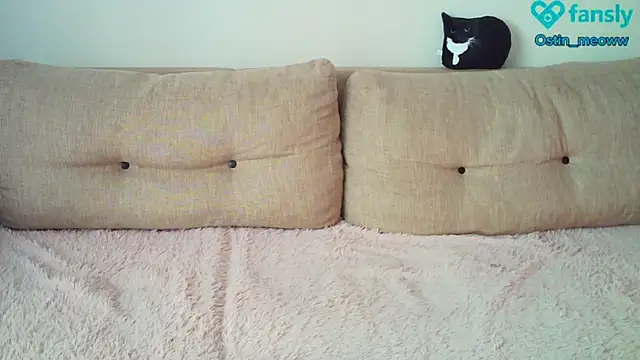 Snapshot of Ostin_meow chatting on February 20, 2025, 6:39 am Ostin meow online show from February 20, 2025, 6:39 am