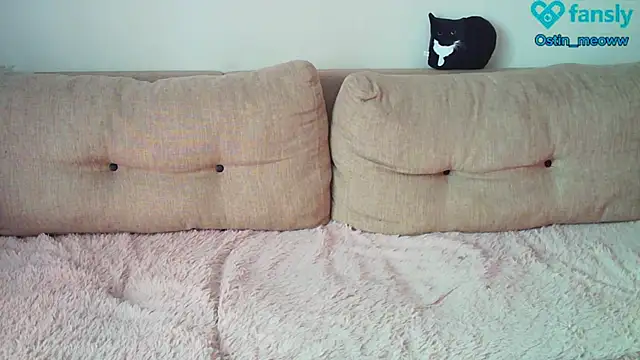 Snapshot of Ostin_meow chatting on February 22, 2025, 7:45 am Ostin meow online show from February 22, 2025, 7:45 am