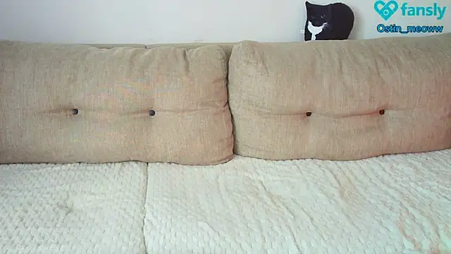 Snapshot of Ostin_meow chatting on February 25, 2025, 8:14 am Ostin meow online show from February 25, 2025, 8:14 am