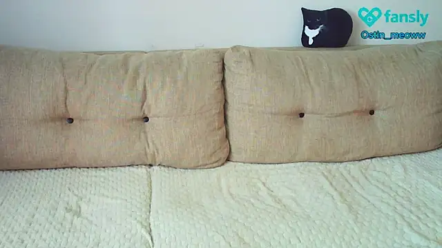 Snapshot of Ostin_meow chatting on March 19, 2025, 6:14 am Ostin meow online show from March 19, 2025, 6:14 am