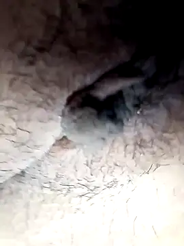 lemon69Reo online show from February 26, 2025, 9:48 pm