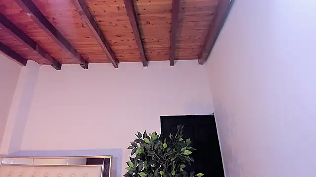 Snapshot of im_sebaslopez chatting on January 17, 2026, 8:01 pm im sebaslopez online show from January 17, 2026, 8:01 pm