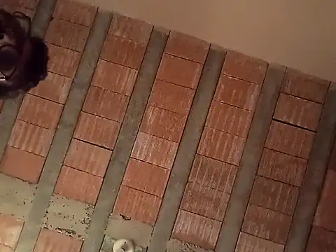 Snapshot of jtf4055 chatting on September 13, 2025, 9:42 am jtf4055 online show from September 13, 2025, 9:42 am