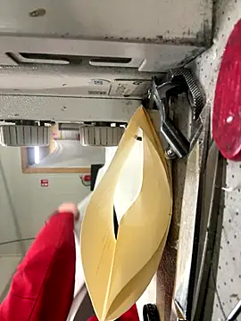 Snapshot of Mustafa-231 chatting on November 28, 2025, 2:42 pm Mustafa-231 online show from November 28, 2025, 2:42 pm