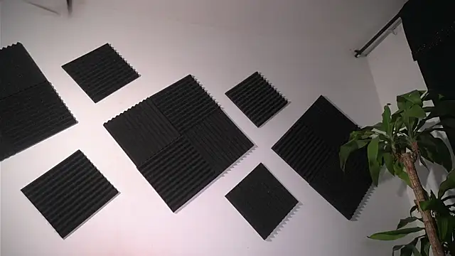 Ambeer Rousess online show from April 10, 2026, 12:27 am