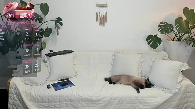 Snapshot of Amie_Hill chatting on February 16, 2026, 7:37 am Amie Hill online show from February 16, 2026, 7:37 am