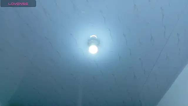 Snapshot of Beautifulkattia chatting on February 14, 2026, 12:29 am Beautifulkattia online show from February 14, 2026, 12:29 am