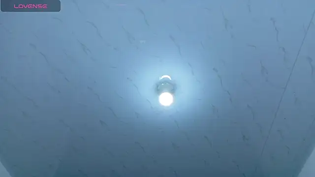 Snapshot of Beautifulkattia chatting on March 1, 2026, 1:18 am Beautifulkattia online show from March 1, 2026, 1:18 am