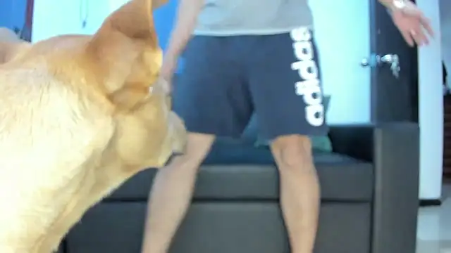 boss of cash online show from October 18, 2025, 1:30 am