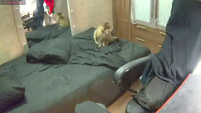 Snapshot of Julia_dolls chatting on December 14, 2024, 7:03 pm Julia dolls online show from December 14, 2024, 7:03 pm