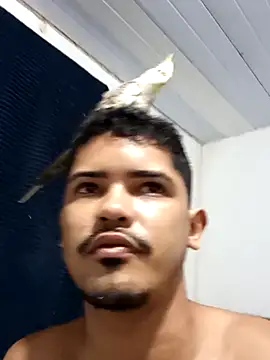 44corninho online show from February 24, 2025, 11:52 pm