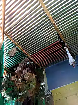 thamygomezz online show from September 9, 2025, 4:39 pm