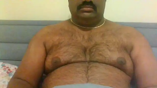 indianbearbot online show from December 28, 2024, 8:47 pm