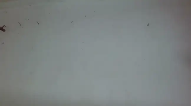  amira dalila online show from December 27, 2024, 3:37 pm