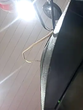 Snapshot of ppatriciarabello chatting on November 17, 2025, 3:40 pm ppatriciarabello online show from November 17, 2025, 3:40 pm